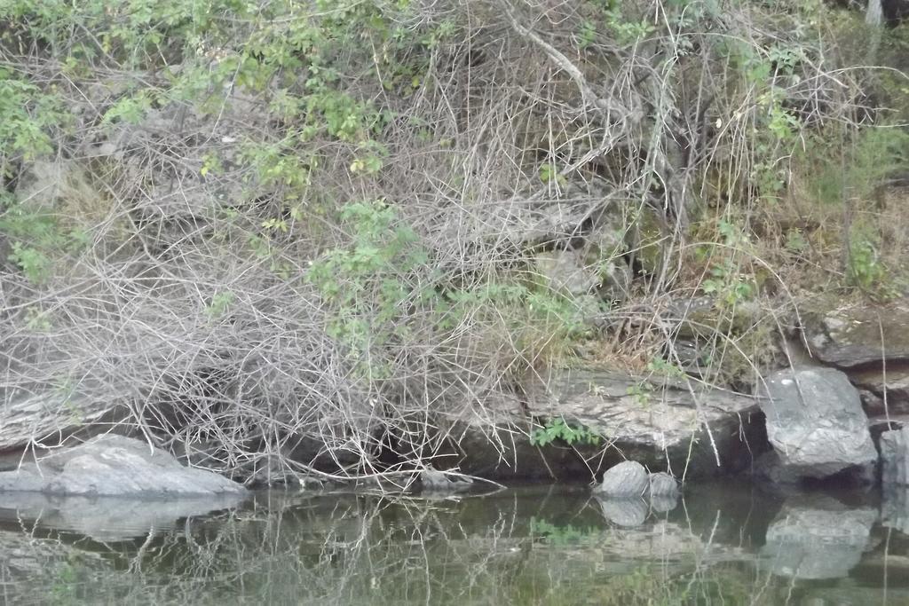 Casa Dos Xares ξενώνας Rosmaninhal  Εξωτερικό φωτογραφία