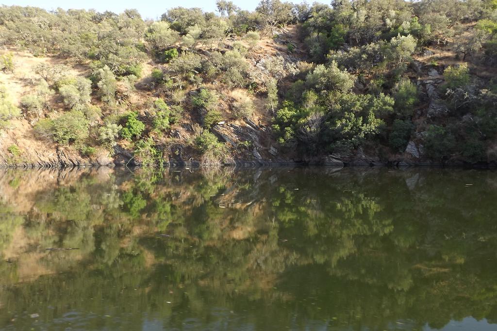 Casa Dos Xares ξενώνας Rosmaninhal  Εξωτερικό φωτογραφία