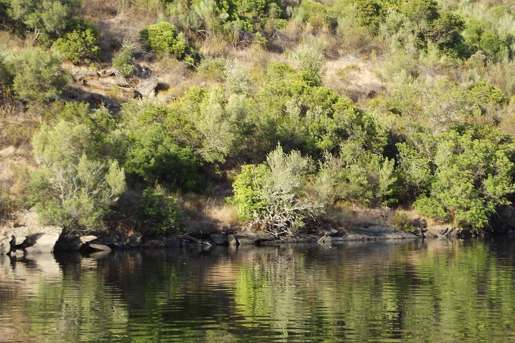 Casa Dos Xares ξενώνας Rosmaninhal  Εξωτερικό φωτογραφία