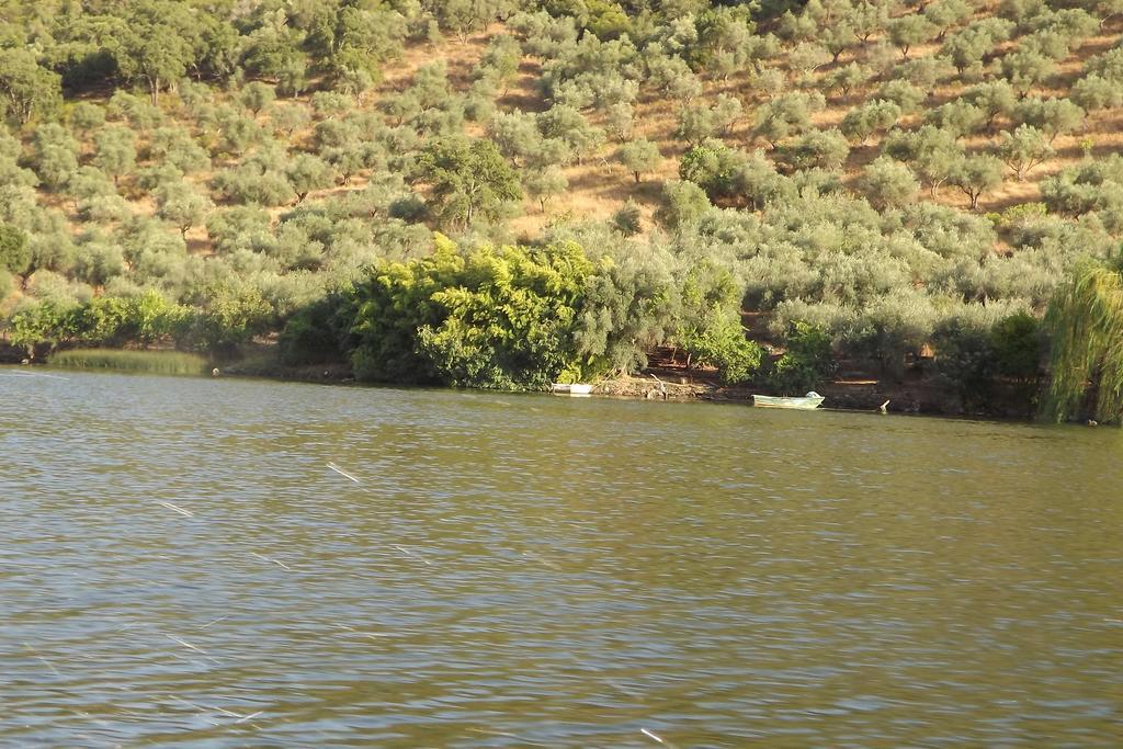 Casa Dos Xares ξενώνας Rosmaninhal  Εξωτερικό φωτογραφία