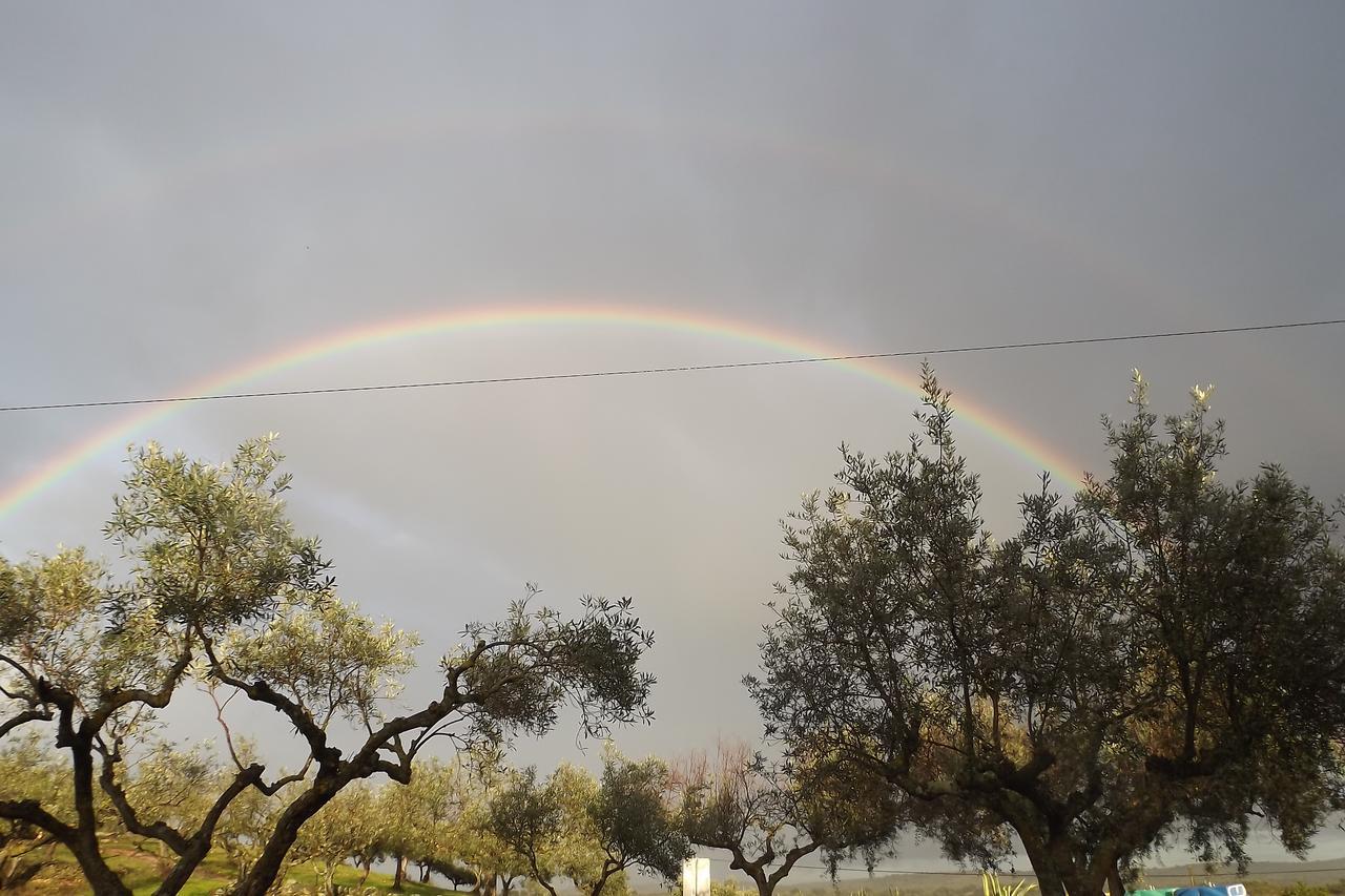 Casa Dos Xares ξενώνας Rosmaninhal  Εξωτερικό φωτογραφία