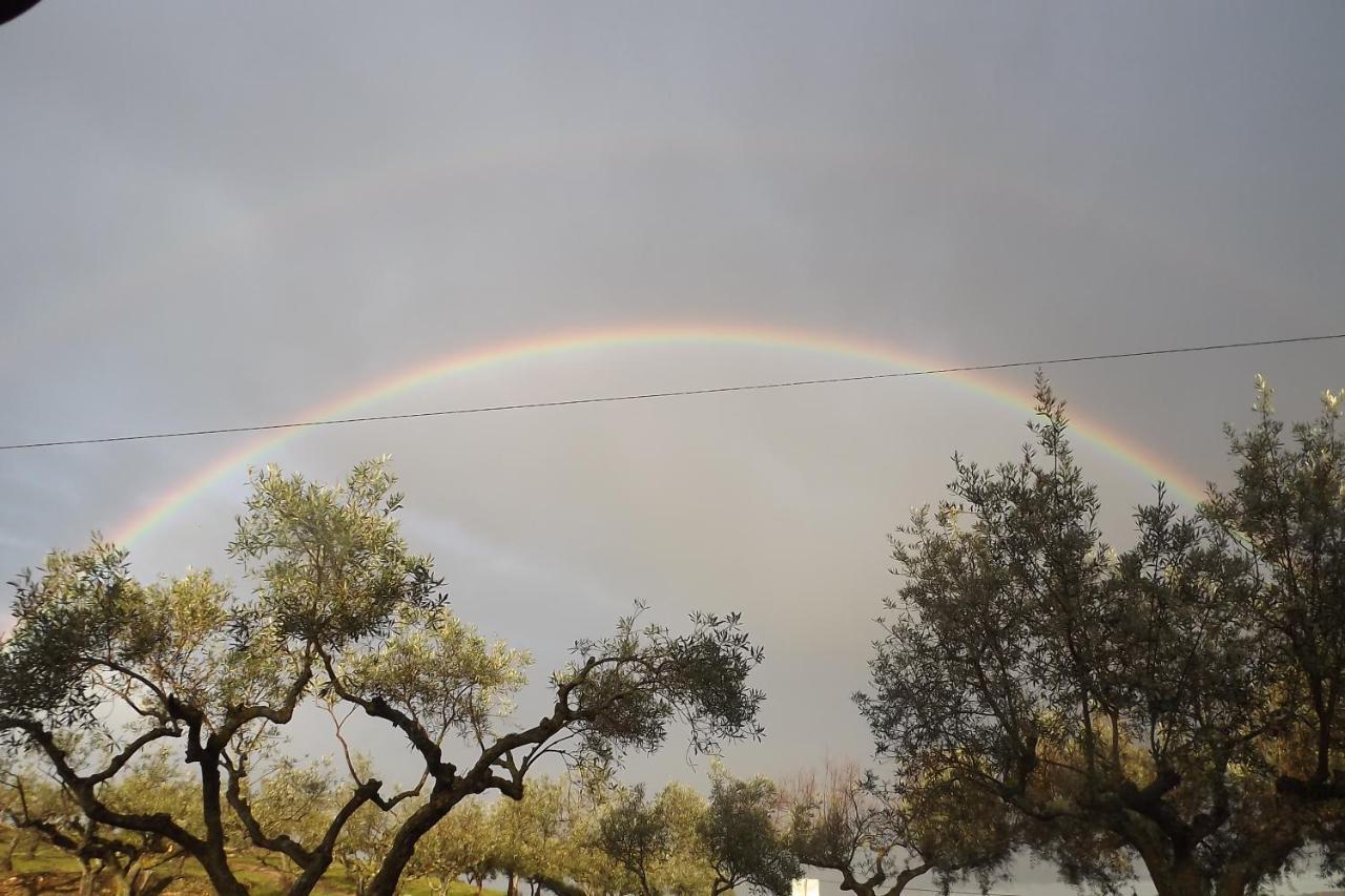 Casa Dos Xares ξενώνας Rosmaninhal  Εξωτερικό φωτογραφία